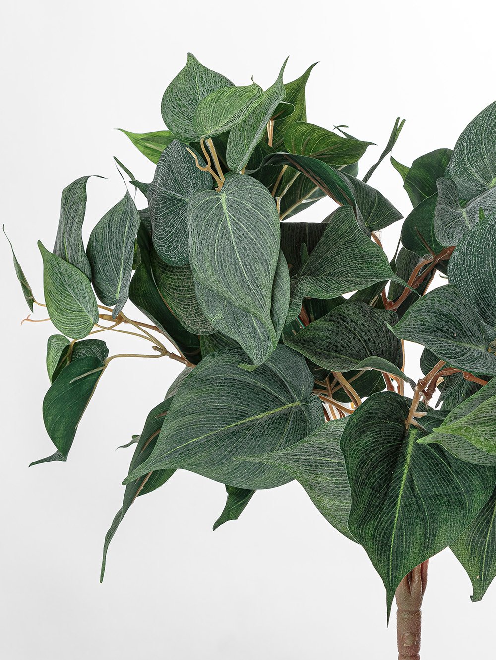 planta artificial-POTUS RAMO-LC CISNES-3.jpg image number null