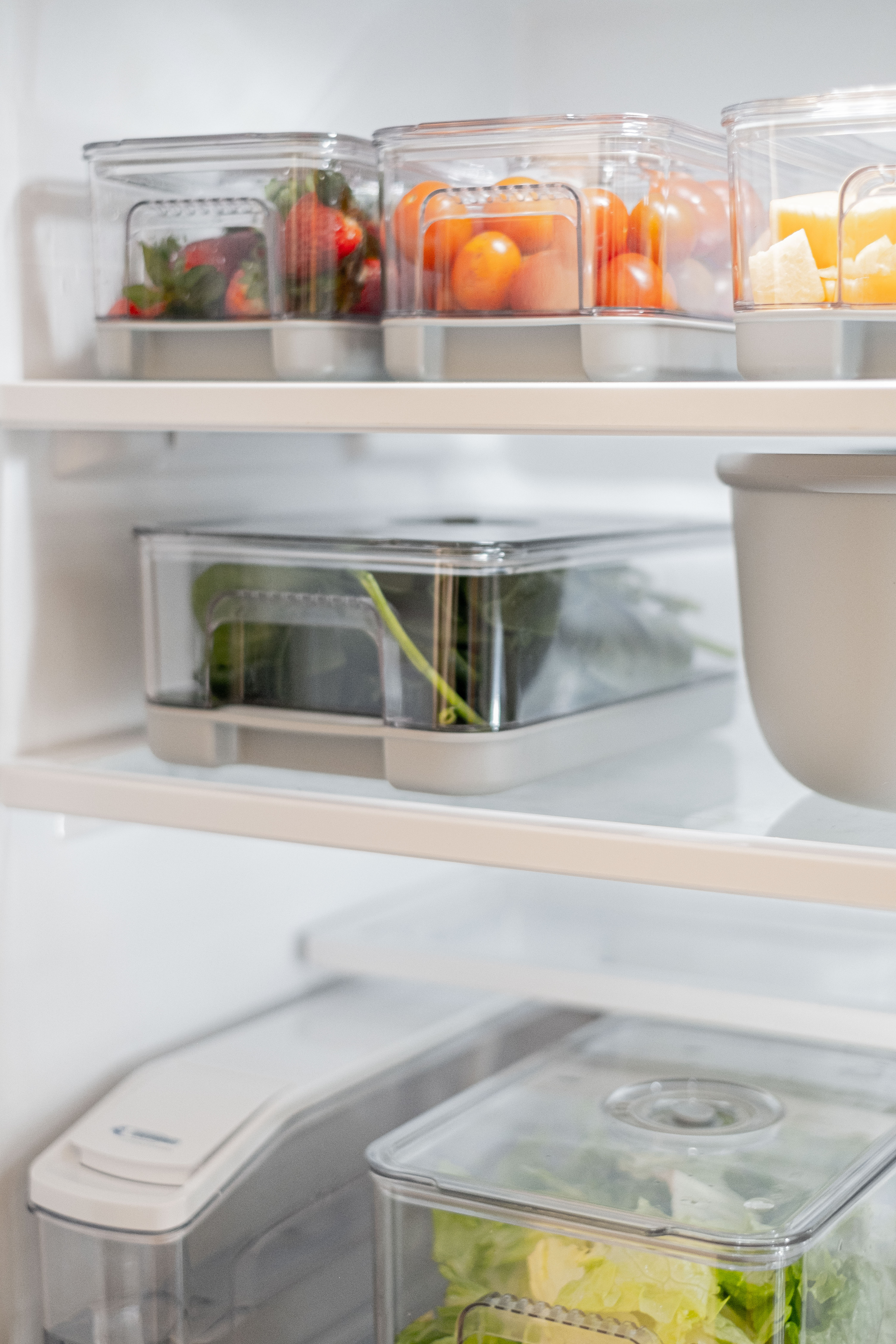 CONTENEDOR DE ALIMENTOS BLAIR GREY 2.9L image number null