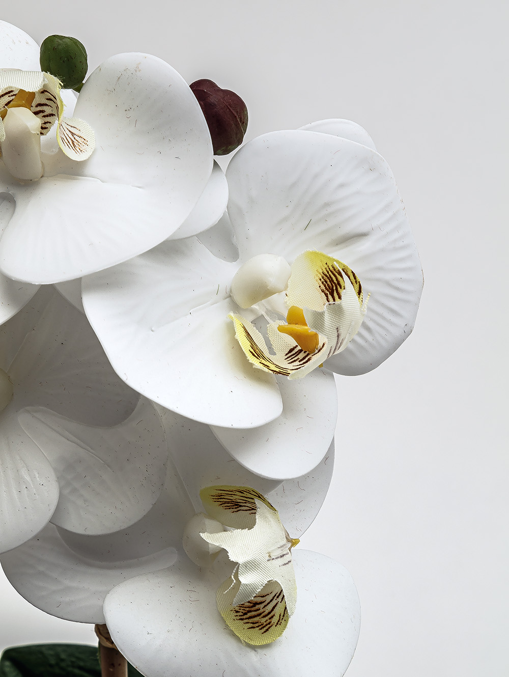 flores artificiales-ORQUIDEA GIULIA M WHITE-TOP-11.jpg image number null