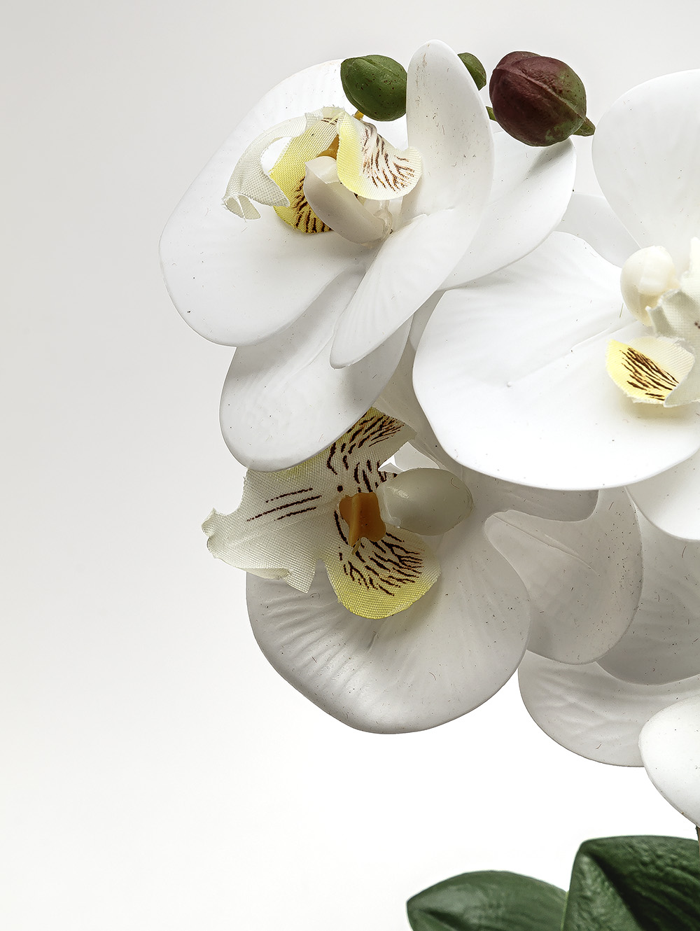 flores artificiales-ORQUIDEA GIULIA M WHITE-TOP-8.jpg image number null