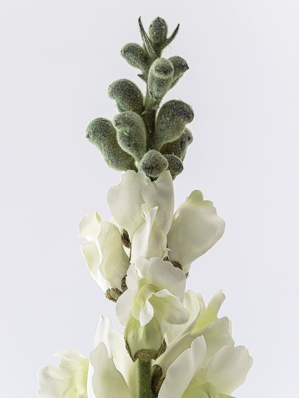 planta artificial-VARA CONEJITO ELISA-LC CISNES-1.jpg image number null