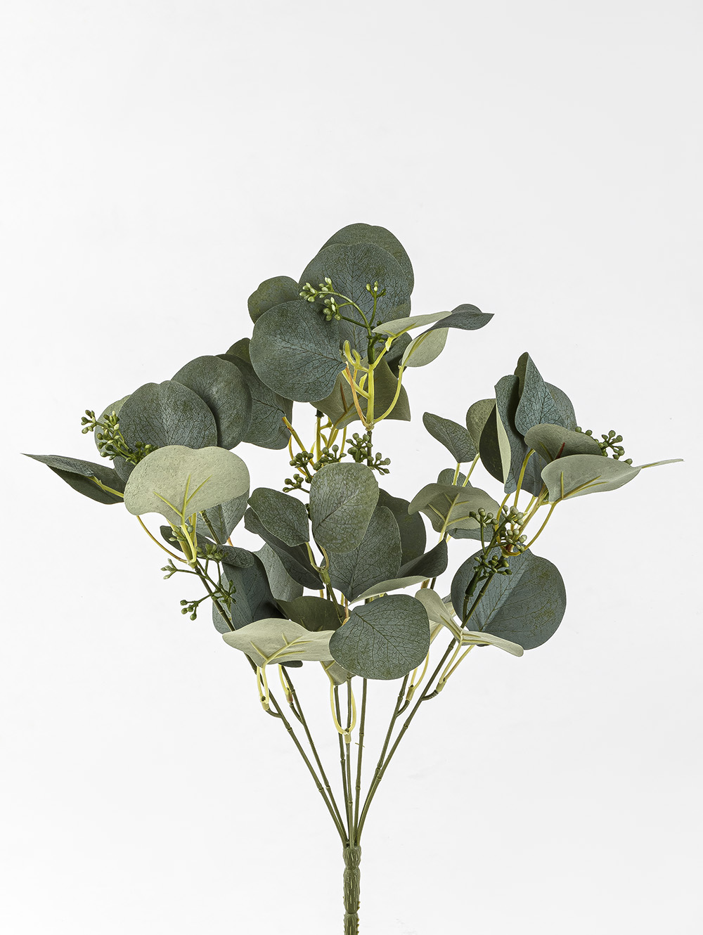 VARA EUCALIPTO ELISA image number null