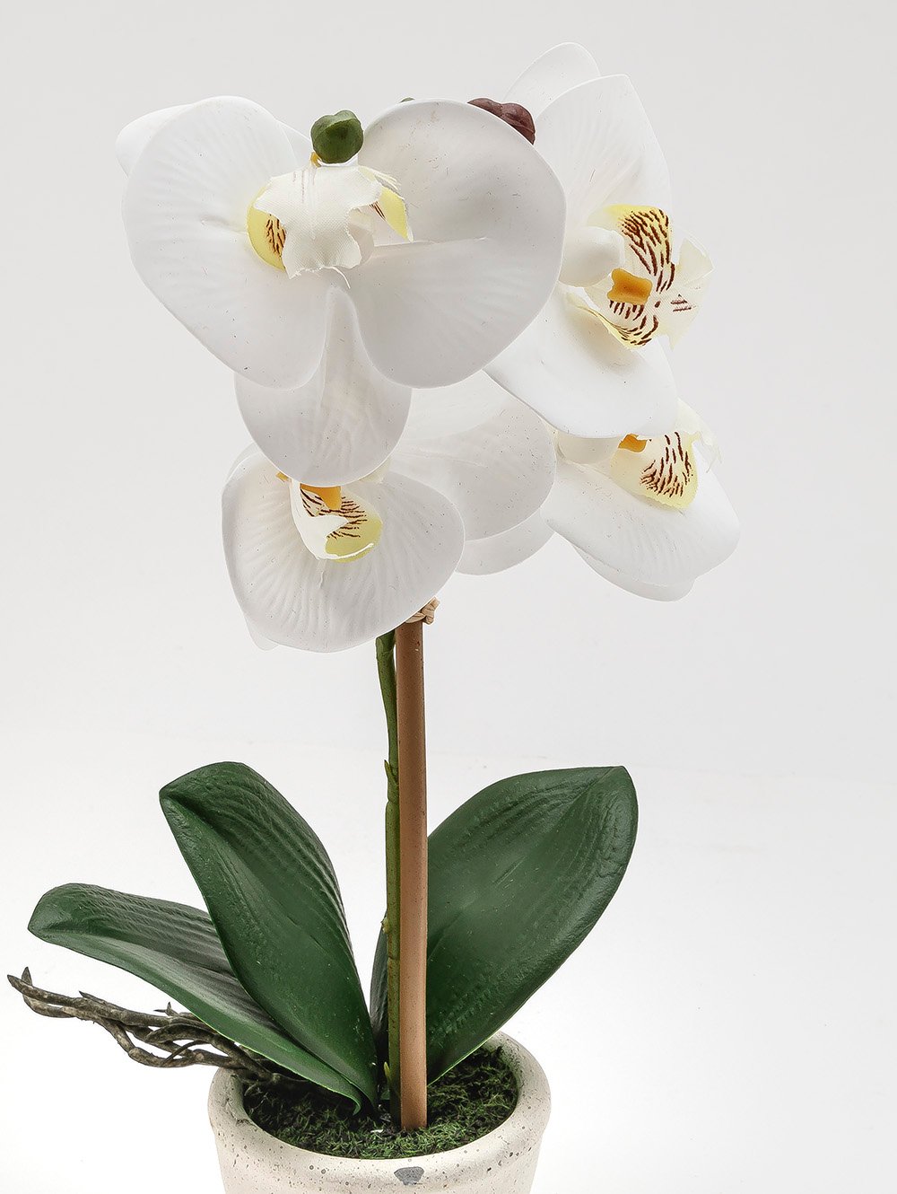 flores artificiales-ORQUIDEA GIULIA M WHITE-TOP-1.jpg image number null