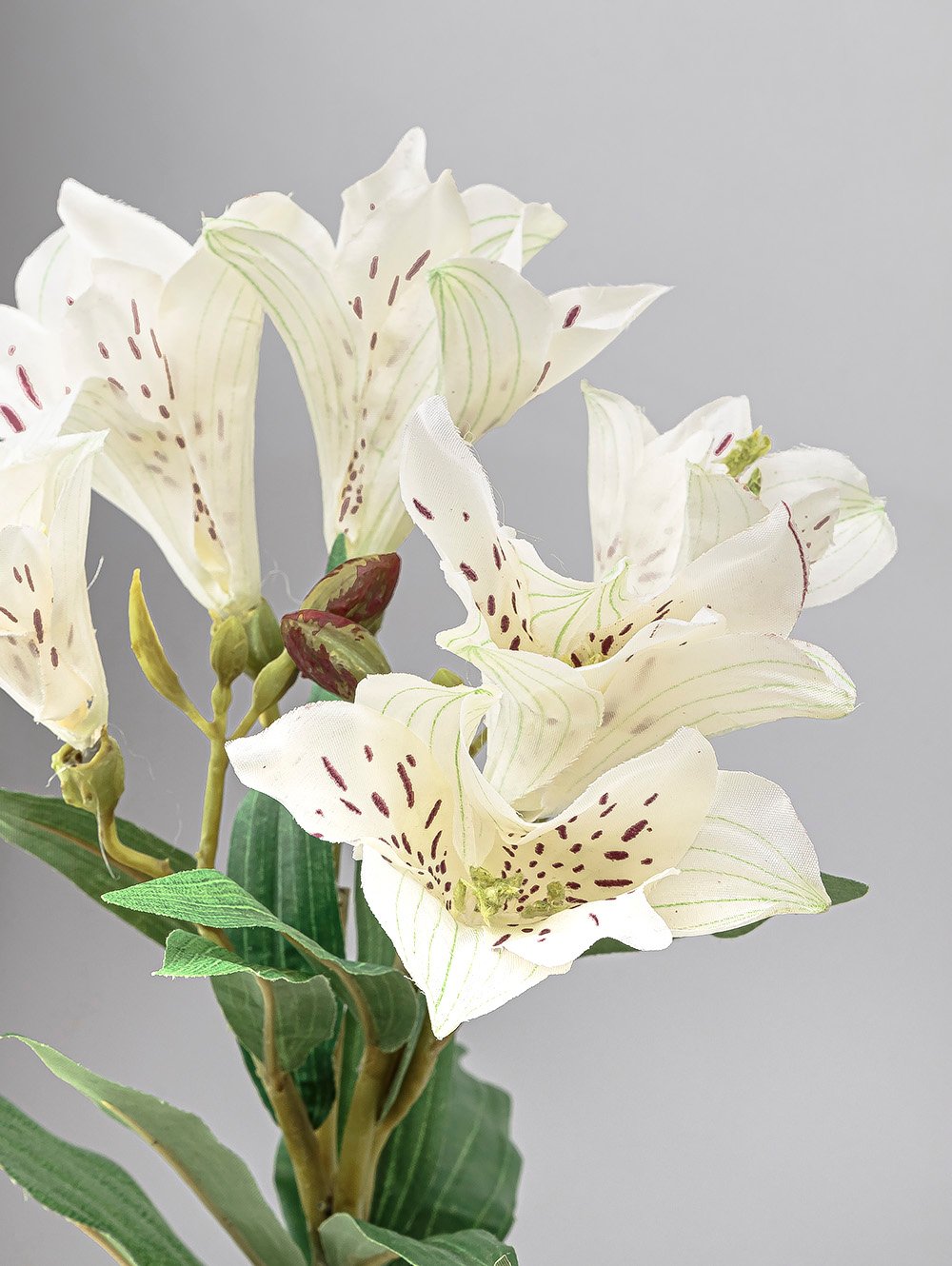 planta-artificial-VARA-LIRIO-LC-CISNES-6.jpg image number null