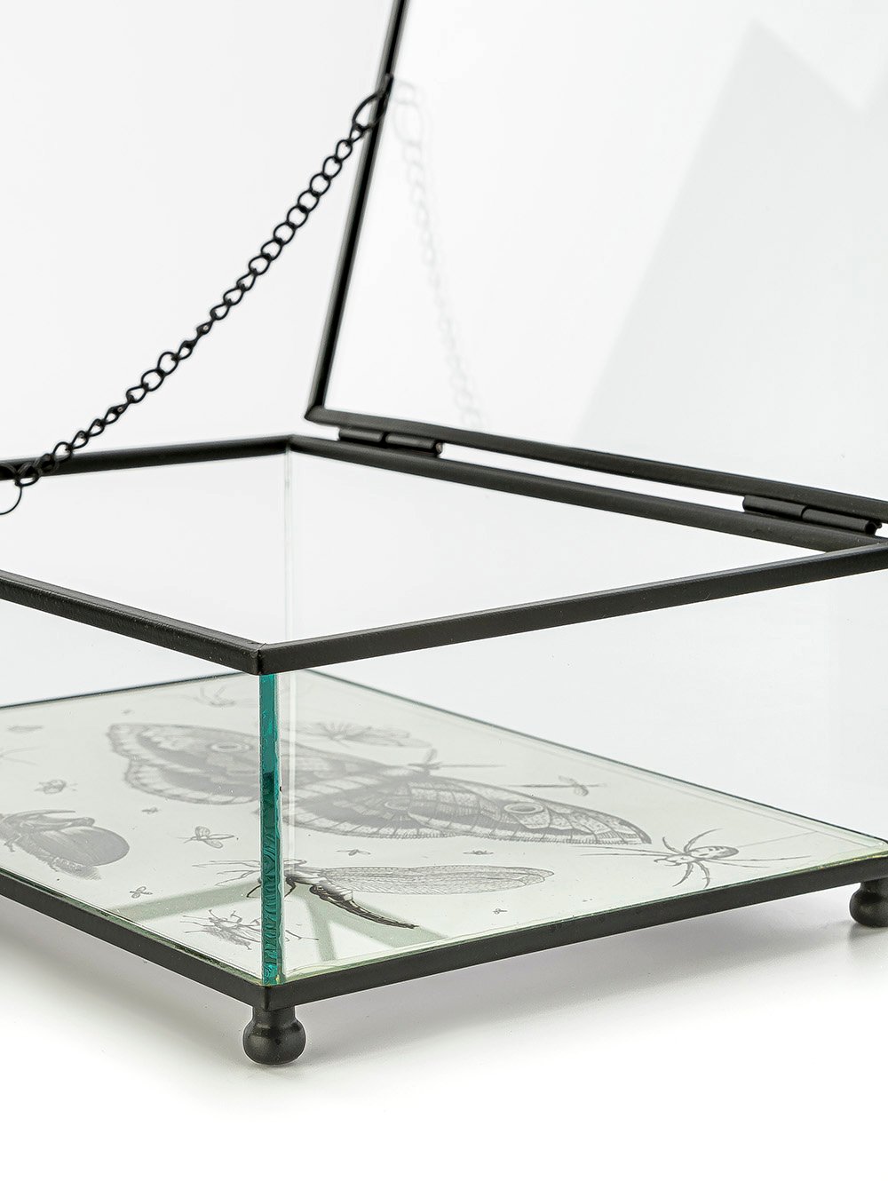 CAJA DE VIDRIO BITELY-TAI-7.jpg image number null