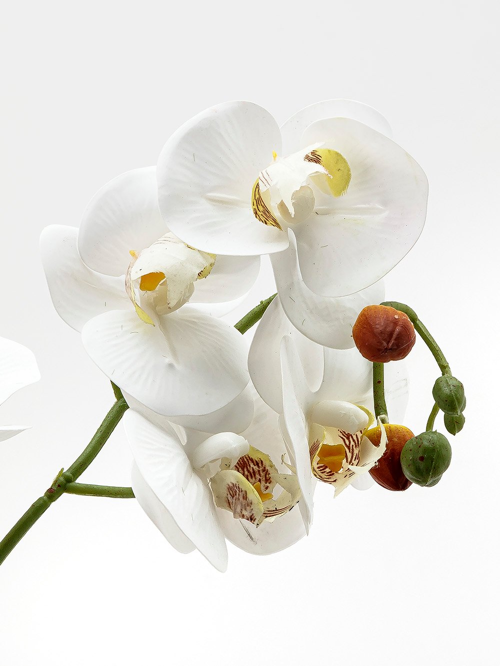 flores artificiales-ORQUIDEA GIULIA L CEMENTO-TOP-6.jpg image number null