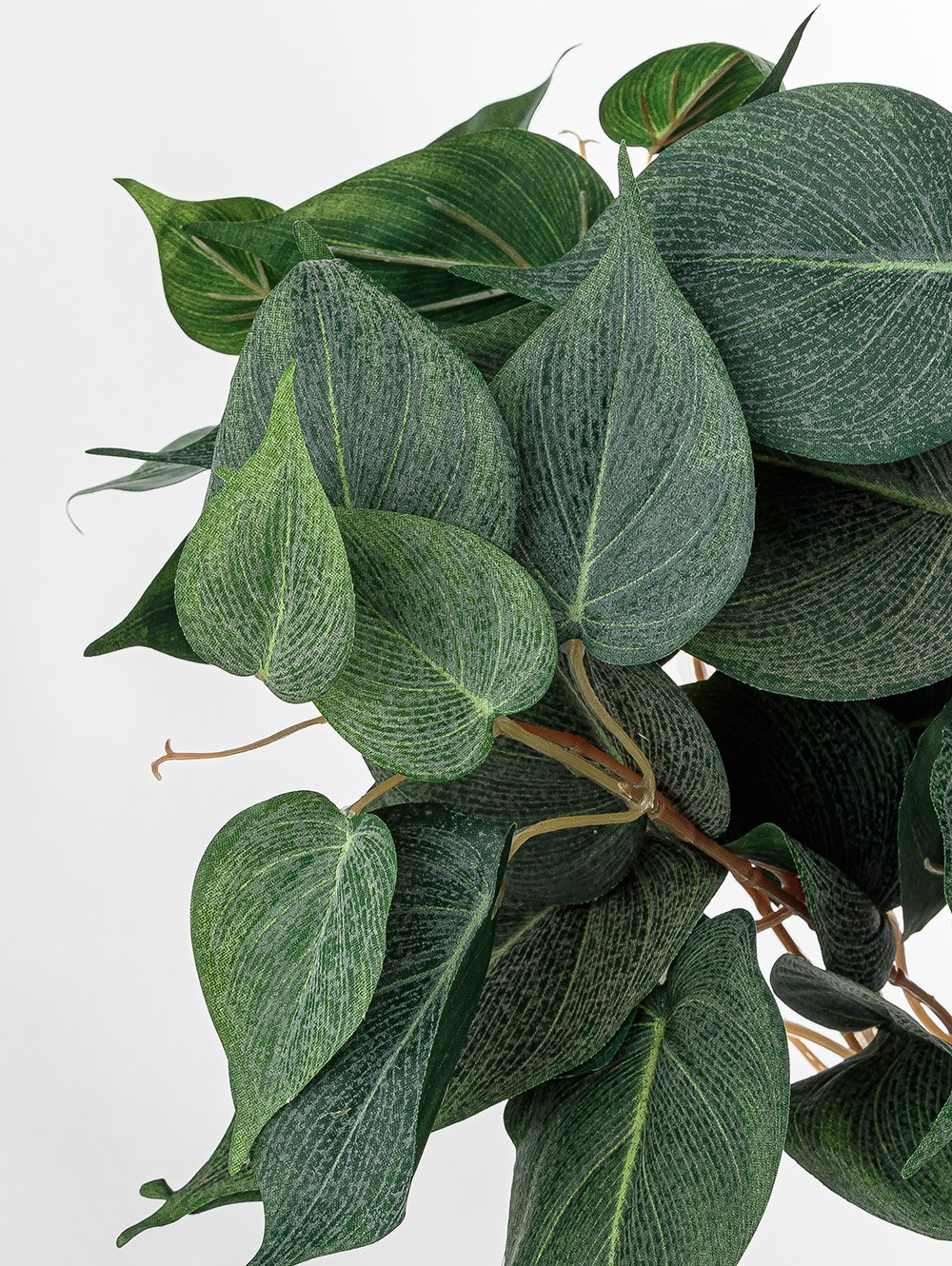 planta artificial-POTUS RAMO-LC CISNES-1.jpg image number null