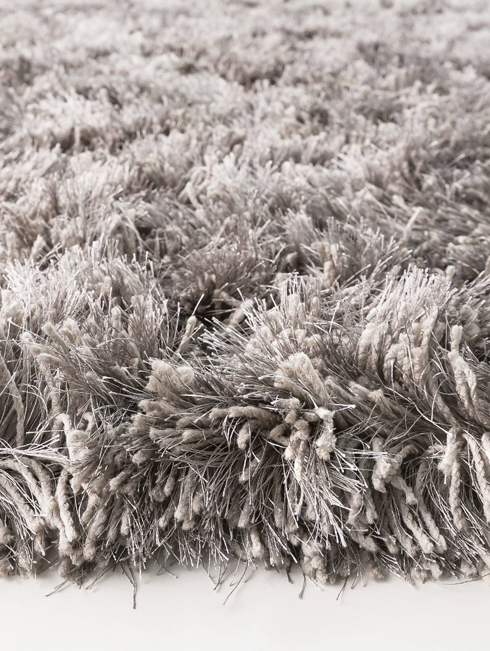 SHAGGY FUNKY image number null