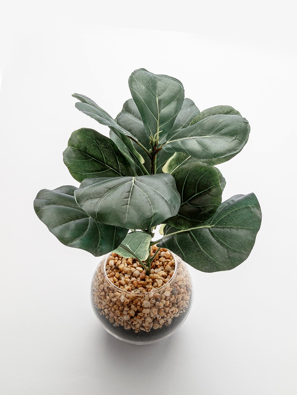 maceta-MACETA FICUS LYRATA GLASS-LC CISNES-3.jpg image number null