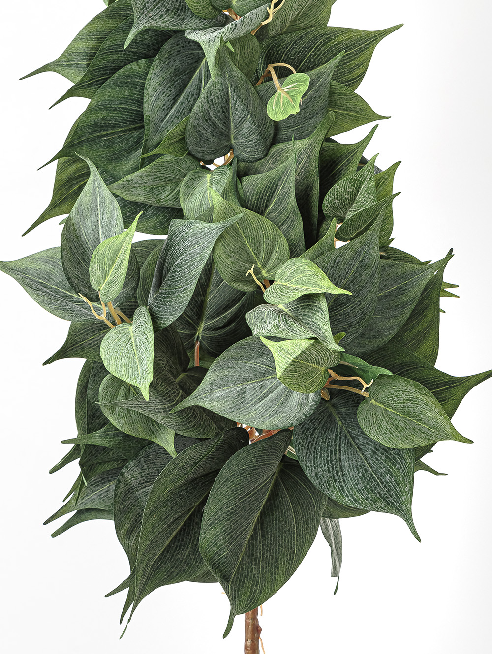 planta artificial-POTUS COLGANTE-LC CISNES-3.jpg image number null