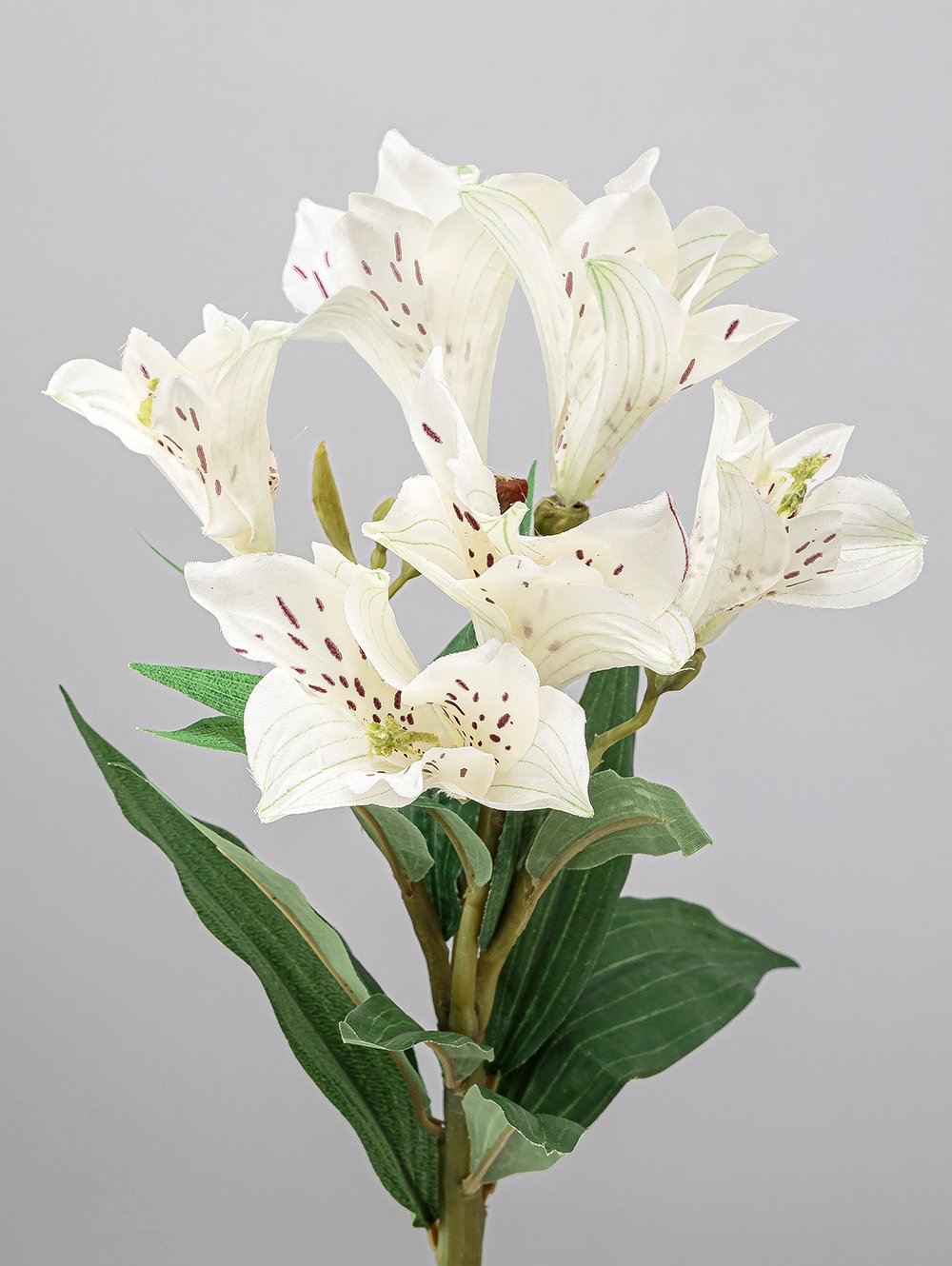 planta-artificial-VARA-LIRIO-LC-CISNES-4.jpg image number null