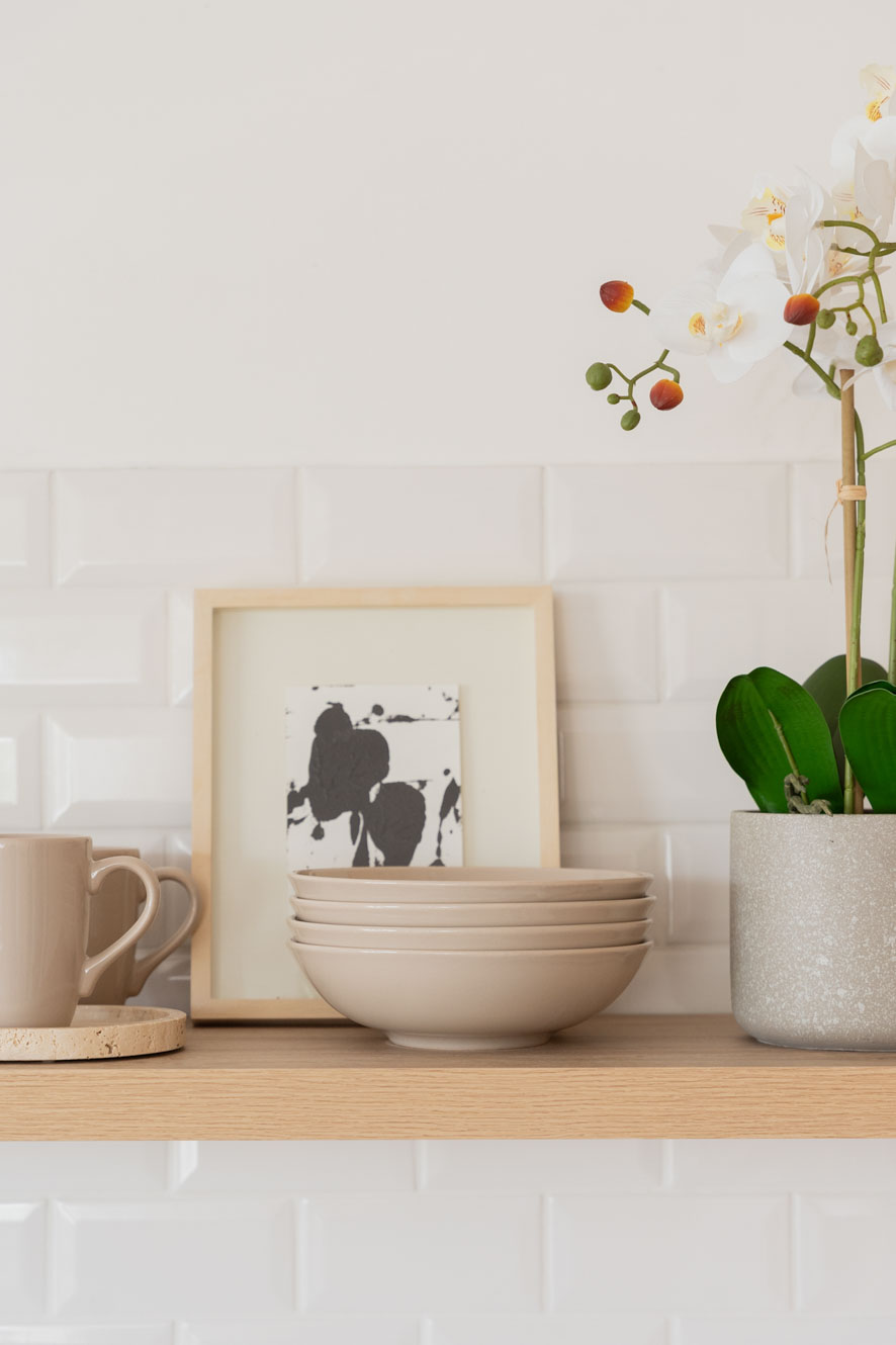 PLATO TIMELESS image number null