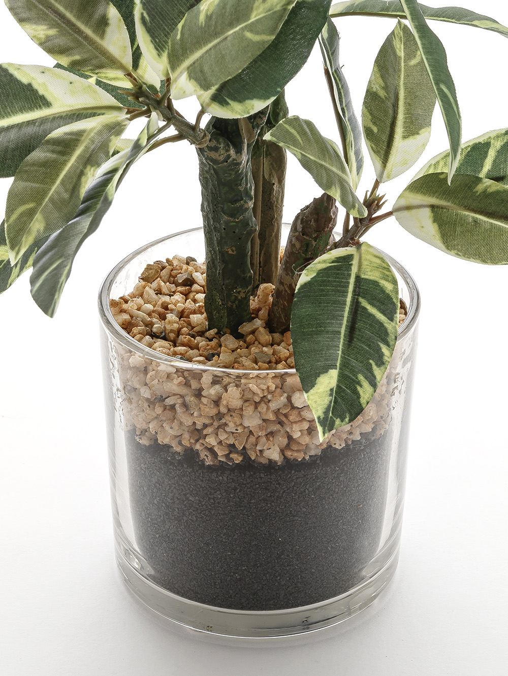 maceta-MACETA FICUS ALTISSIMA GLASS-AEROLAB-1.jpg image number null